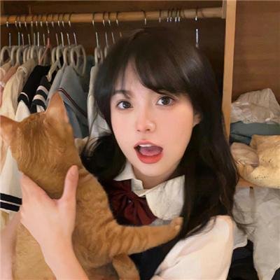 飞龙引凤